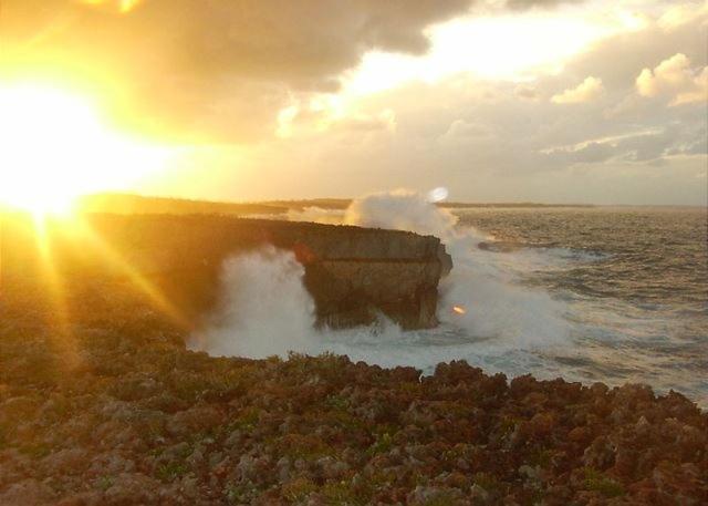 Folly Guest House Cottage Governor S Harbour Extérieur photo